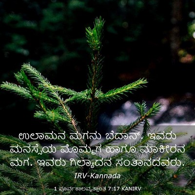 Picture 03 - 1 ಪೂರ್ವಕಾಲವೃತ್ತಾಂತ 7:17 KANIRV - ಉಲಾಮನ ಮಗನು ಬೆದಾನ್. - Bible Verse Picture