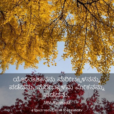 Picture 03 - 1 ಪೂರ್ವಕಾಲವೃತ್ತಾಂತ 9:40 KANIRV - ಯೋನಾತಾನನು - Bible Verse Picture