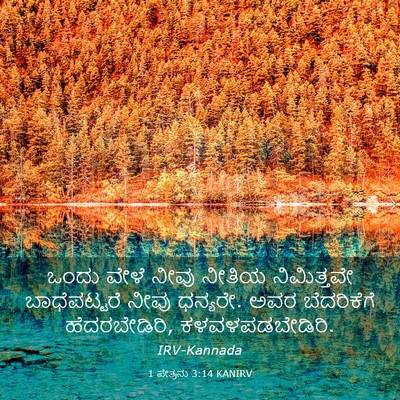 Picture 03 - 1 ಪೇತ್ರನು 3:14 KANIRV - ಒಂದು ವೇಳೆ ನೀವು - Bible Verse Picture
