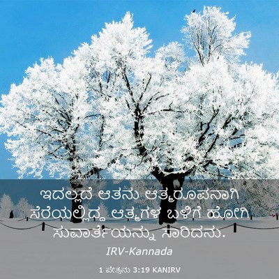 Picture 03 - 1 ಪೇತ್ರನು 3:19 KANIRV - ಇದಲ್ಲದೆ ಆತನು - Bible Verse Picture