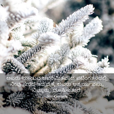 Picture 03 - 1 ಪೇತ್ರನು 4:4 KANIRV - ಅವರು ಮಾಡುವ - Bible Verse Picture