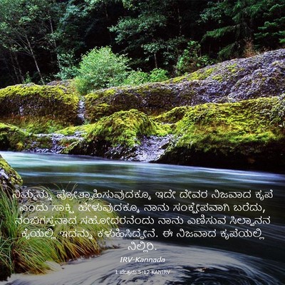 Picture 03 - 1 ಪೇತ್ರನು 5:12 KANIRV - ನಿಮ್ಮನ್ನು - Bible Verse Picture