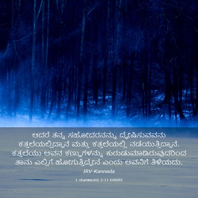 Picture 03 - 1 ಯೋಹಾನನು 2:11 KANIRV - ಆದರೆ ತನ್ನ - Bible Verse Picture