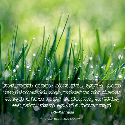 Picture 03 - 1 ಯೋಹಾನನು 2:22 KANIRV - ಸುಳ್ಳುಗಾರನು ಯಾರು? - Bible Verse Picture