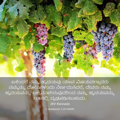 Picture 03 - 1 ಯೋಹಾನನು 3:20 KANIRV - ಏಕೆಂದರೆ ನಮ್ಮ - Bible Verse Picture