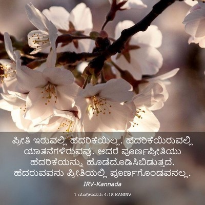 Picture 03 - 1 ಯೋಹಾನನು 4:18 KANIRV - ಪ್ರೀತಿ ಇರುವಲ್ಲಿ - Bible Verse Picture