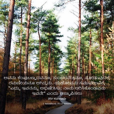 Picture 03 - 1 ಸಮುವೇಲನು 16:12 KANIRV - ಅವನು - Bible Verse Picture