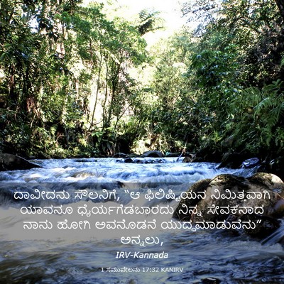 Picture 03 - 1 ಸಮುವೇಲನು 17:32 KANIRV - ದಾವೀದನು ಸೌಲನಿಗೆ, - Bible Verse Picture