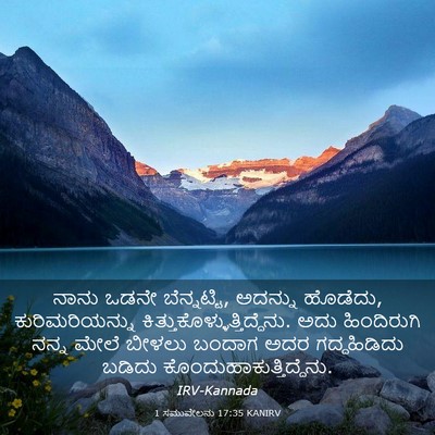 Picture 03 - 1 ಸಮುವೇಲನು 17:35 KANIRV - ನಾನು ಒಡನೇ - Bible Verse Picture