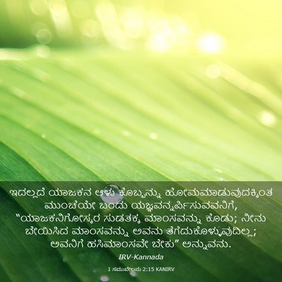 Picture 03 - 1 ಸಮುವೇಲನು 2:15 KANIRV - ಇದಲ್ಲದೆ ಯಾಜಕನ ಆಳು - Bible Verse Picture