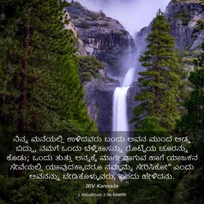 Picture 03 - 1 ಸಮುವೇಲನು 2:36 KANIRV - ನಿನ್ನ ಮನೆಯಲ್ಲಿ - Bible Verse Picture