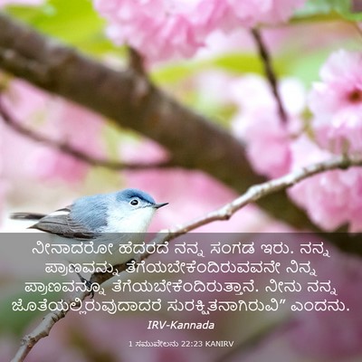 Picture 03 - 1 ಸಮುವೇಲನು 22:23 KANIRV - ನೀನಾದರೋ ಹೆದರದೆ - Bible Verse Picture