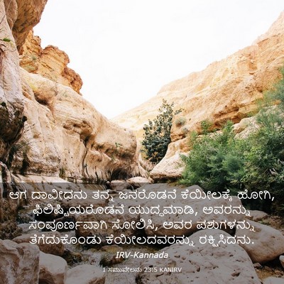 Picture 03 - 1 ಸಮುವೇಲನು 23:5 KANIRV - ಆಗ ದಾವೀದನು ತನ್ನ - Bible Verse Picture