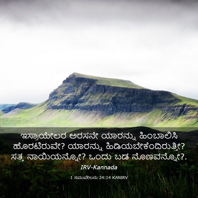 Picture 03 - 1 ಸಮುವೇಲನು 24:14 KANIRV - ಇಸ್ರಾಯೇಲರ ಅರಸನೇ - Bible Verse Picture