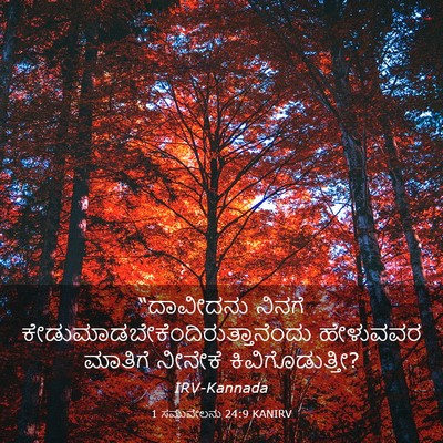 Picture 03 - 1 ಸಮುವೇಲನು 24:9 KANIRV - “ದಾವೀದನು ನಿನಗೆ - Bible Verse Picture