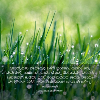 Picture 03 - 1 ಸಮುವೇಲನು 25:36 KANIRV - ಅಬೀಗೈಲಳು ನಾಬಾಲನ - Bible Verse Picture