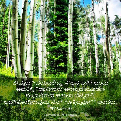 Picture 03 - 1 ಸಮುವೇಲನು 26:1 KANIRV - ಜೀಫ್ಯರು - Bible Verse Picture