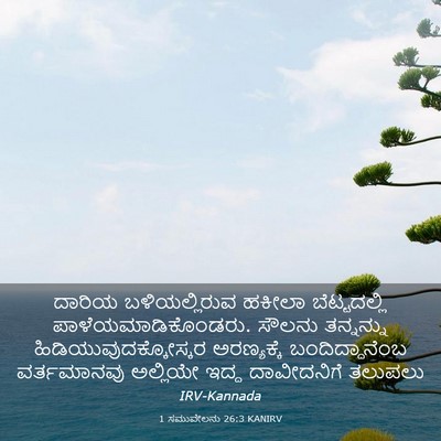 Picture 03 - 1 ಸಮುವೇಲನು 26:3 KANIRV - ದಾರಿಯ ಬಳಿಯಲ್ಲಿರುವ - Bible Verse Picture