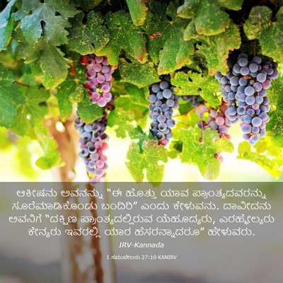Picture 03 - 1 ಸಮುವೇಲನು 27:10 KANIRV - ಆಕೀಷನು ಅವನನ್ನು “ಈ - Bible Verse Picture