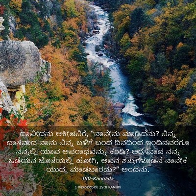 Picture 03 - 1 ಸಮುವೇಲನು 29:8 KANIRV - ದಾವೀದನು ಆಕೀಷನಿಗೆ, - Bible Verse Picture