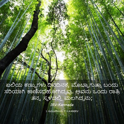 Picture 03 - 1 ಸಮುವೇಲನು 3:2 KANIRV - ಏಲಿಯ ಕಣ್ಣುಗಳು - Bible Verse Picture