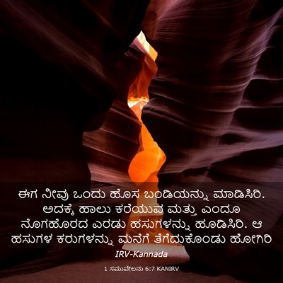 Picture 03 - 1 ಸಮುವೇಲನು 6:7 KANIRV - ಈಗ ನೀವು ಒಂದು ಹೊಸ - Bible Verse Picture