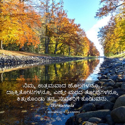 Picture 03 - 1 ಸಮುವೇಲನು 8:14 KANIRV - ನಿಮ್ಮ ಉತ್ತಮವಾದ - Bible Verse Picture