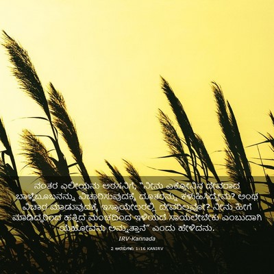 Picture 03 - 2 ಅರಸುಗಳು 1:16 KANIRV - ನಂತರ ಎಲೀಯನು - Bible Verse Picture