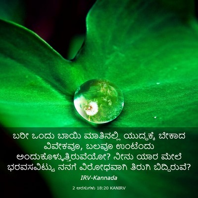 Picture 03 - 2 ಅರಸುಗಳು 18:20 KANIRV - ಬರೀ ಒಂದು ಬಾಯಿ - Bible Verse Picture