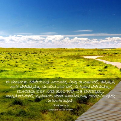 Picture 03 - 2 ಅರಸುಗಳು 19:29 KANIRV - ಈ ಮಾತುಗಳು - Bible Verse Picture