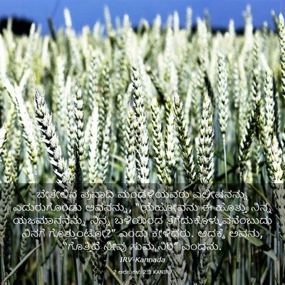 Picture 03 - 2 ಅರಸುಗಳು 2:3 KANIRV - ಬೇತೇಲಿನ ಪ್ರವಾದಿ - Bible Verse Picture