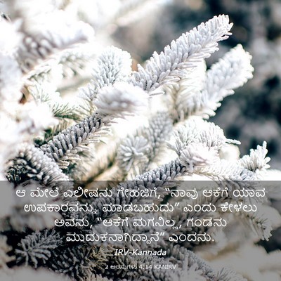 Picture 03 - 2 ಅರಸುಗಳು 4:14 KANIRV - ಆ ಮೇಲೆ ಎಲೀಷನು - Bible Verse Picture