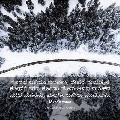 Picture 03 - 2 ಅರಸುಗಳು 4:21 KANIRV - ಕೂಡಲೆ ಆಕೆಯು - Bible Verse Picture