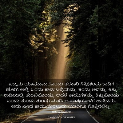 Picture 03 - 2 ಅರಸುಗಳು 4:39 KANIRV - ಒಬ್ಬನು - Bible Verse Picture