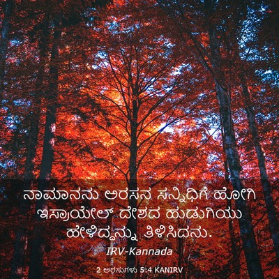Picture 03 - 2 ಅರಸುಗಳು 5:4 KANIRV - ನಾಮಾನನು ಅರಸನ - Bible Verse Picture
