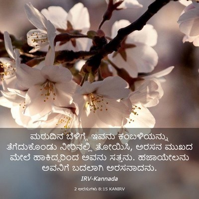Picture 03 - 2 ಅರಸುಗಳು 8:15 KANIRV - ಮರುದಿನ ಬೆಳಿಗ್ಗೆ - Bible Verse Picture