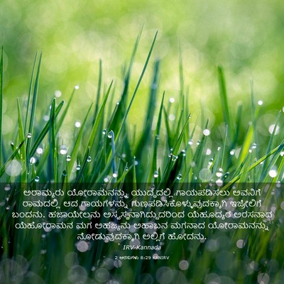 Picture 03 - 2 ಅರಸುಗಳು 8:29 KANIRV - ಅರಾಮ್ಯರು - Bible Verse Picture