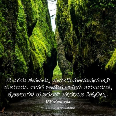 Picture 03 - 2 ಅರಸುಗಳು 9:35 KANIRV - ಸೇವಕರು ಶವವನ್ನು - Bible Verse Picture