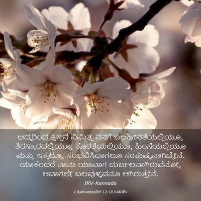Picture 03 - 2 ಕೊರಿಂಥದವರಿಗೆ 12:10 KANIRV - ಆದ್ದರಿಂದ ಕ್ರಿಸ್ತನ - Bible Verse Picture