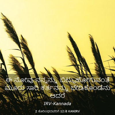 Picture 03 - 2 ಕೊರಿಂಥದವರಿಗೆ 12:8 KANIRV - ಈ ನೋವು ನನ್ನನ್ನು - Bible Verse Picture