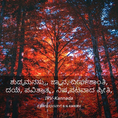 Picture 03 - 2 ಕೊರಿಂಥದವರಿಗೆ 6:6 KANIRV - ಶುದ್ಧಮನಸ್ಸು, - Bible Verse Picture