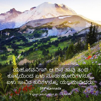 Picture 03 - 2 ಪೂರ್ವಕಾಲವೃತ್ತಾಂತ 15:11 KANIRV - ಯೆಹೋವನಿಗಾಗಿ ಆ ದಿನ - Bible Verse Picture
