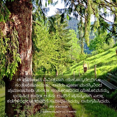 Picture 03 - 2 ಪೂರ್ವಕಾಲವೃತ್ತಾಂತ 15:15 KANIRV - ಈ ಪ್ರಮಾಣದ - Bible Verse Picture