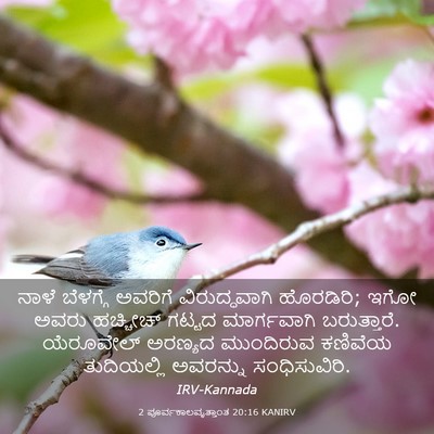 Picture 03 - 2 ಪೂರ್ವಕಾಲವೃತ್ತಾಂತ 20:16 KANIRV - ನಾಳೆ ಬೆಳಗ್ಗೆ - Bible Verse Picture