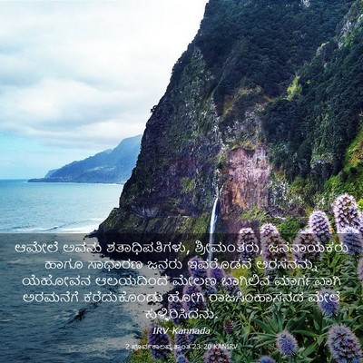 Picture 03 - 2 ಪೂರ್ವಕಾಲವೃತ್ತಾಂತ 23:20 KANIRV - ಆಮೇಲೆ ಅವನು - Bible Verse Picture