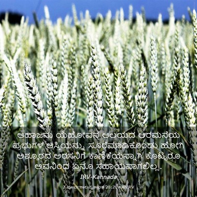 Picture 03 - 2 ಪೂರ್ವಕಾಲವೃತ್ತಾಂತ 28:21 KANIRV - ಆಹಾಜನು ಯೆಹೋವನ - Bible Verse Picture
