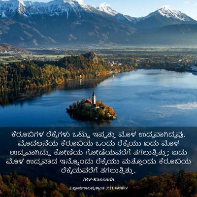 Picture 03 - 2 ಪೂರ್ವಕಾಲವೃತ್ತಾಂತ 3:11 KANIRV - ಕೆರೂಬಿಗಳ - Bible Verse Picture