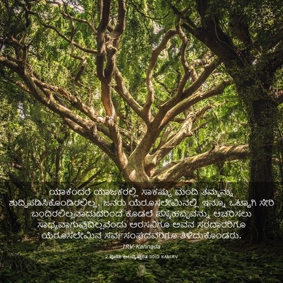 Picture 03 - 2 ಪೂರ್ವಕಾಲವೃತ್ತಾಂತ 30:3 KANIRV - ಯಾಕೆಂದರೆ - Bible Verse Picture