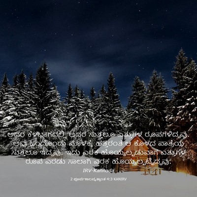 Picture 03 - 2 ಪೂರ್ವಕಾಲವೃತ್ತಾಂತ 4:3 KANIRV - ಅದರ ಕೆಳಭಾಗದಲ್ಲಿ - Bible Verse Picture