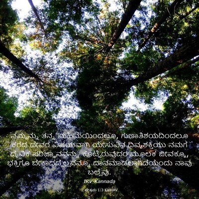 Picture 03 - 2 ಪೇತ್ರನು 1:3 KANIRV - ನಮ್ಮನ್ನು ತನ್ನ - Bible Verse Picture